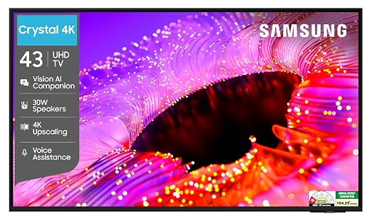 Samsung 43 inches TV